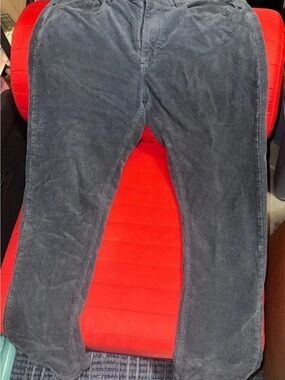 Marine Layer Pants